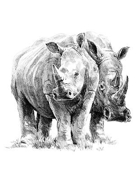 A4 Sketching Made Easy Drawing Kit - Rhino Pair Skbn14