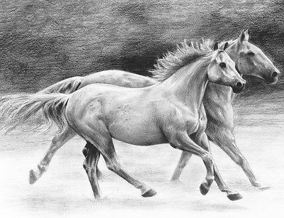 A4 Sketching Made Easy Drawing Kit - Running Horses Skbn20