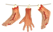 Severed Hands & Feet Halloween Hanging Decoration