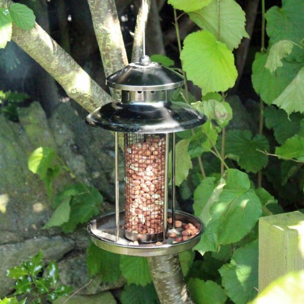 Deluxe Lantern Bird Nut Feeder