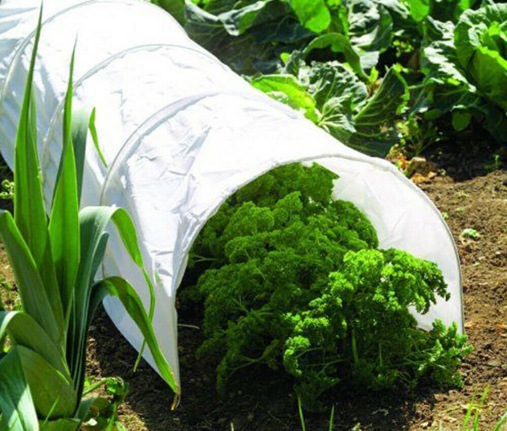Poly grow tunnel cloche 3m propagator plant frost protection mini greenhouse 