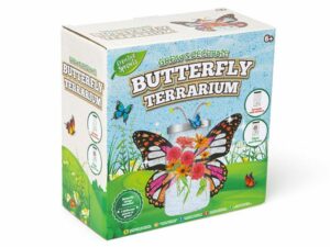 Grow & Decorate Your own Butterfly Terrarium