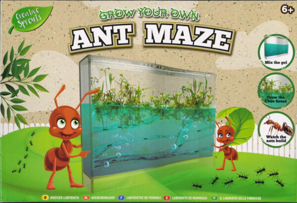 Grow Your Own Ant Maze