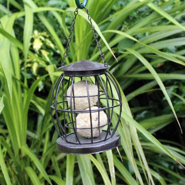 Mini Lantern Fat Ball Bird Feeder