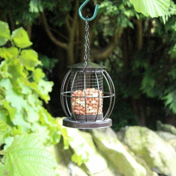 Mini Lantern Bird Feeder