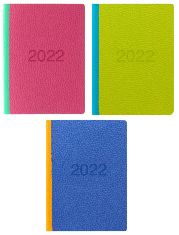 A6 Letts Bright Diary 2022