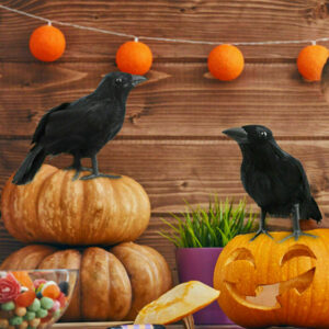 Fake Feathered Crow Halloween Decoration