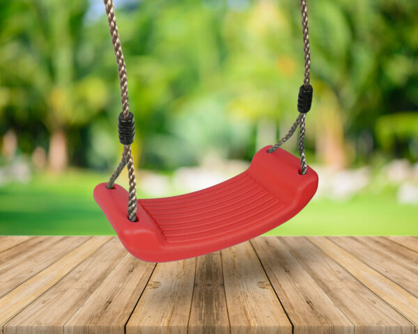 Swing Seat and Adjustable Ropes