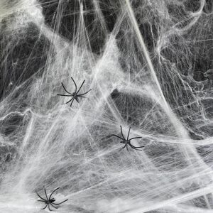 Stretchty Spider Web Decoration