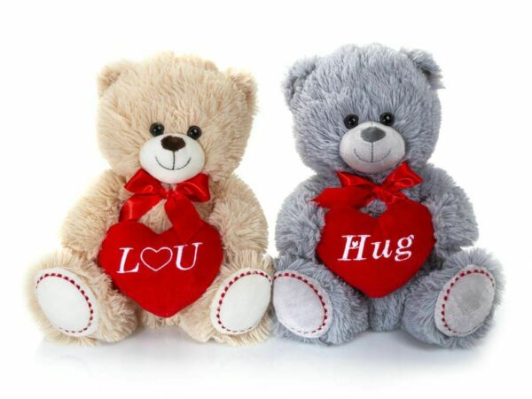 Valentines Day Teddy Bears