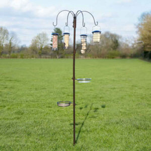 Bird Feeding Station & Feeders