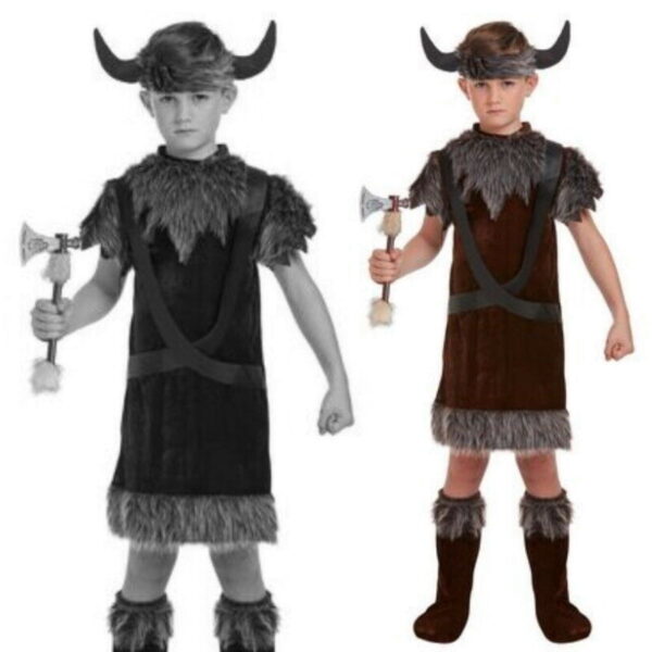 Viking Boy Fancy Dress