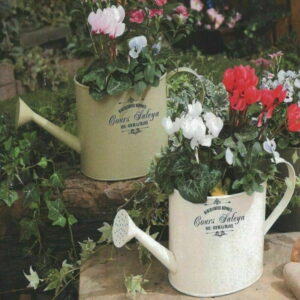Watering Can Planters