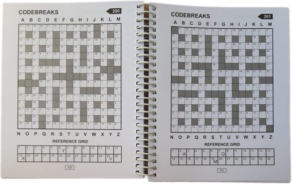 Code Breaks Puzzle Book