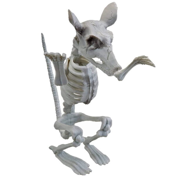 Animal Skeleton