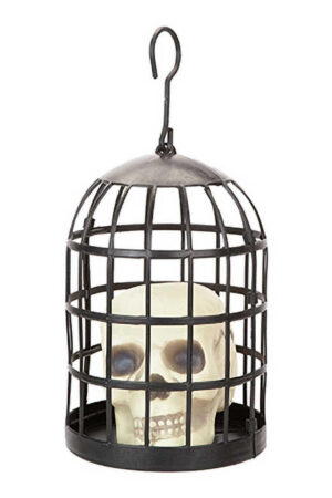 Human Skull In Cage