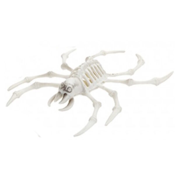 Animal Skeletons Halloween Decorations