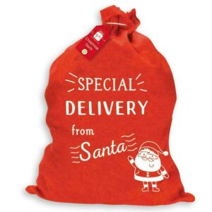 Special Delivery Christmas Sack