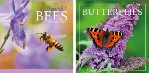 2024 British Insects Calendar