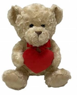 Valentines's Day Teddy Bear