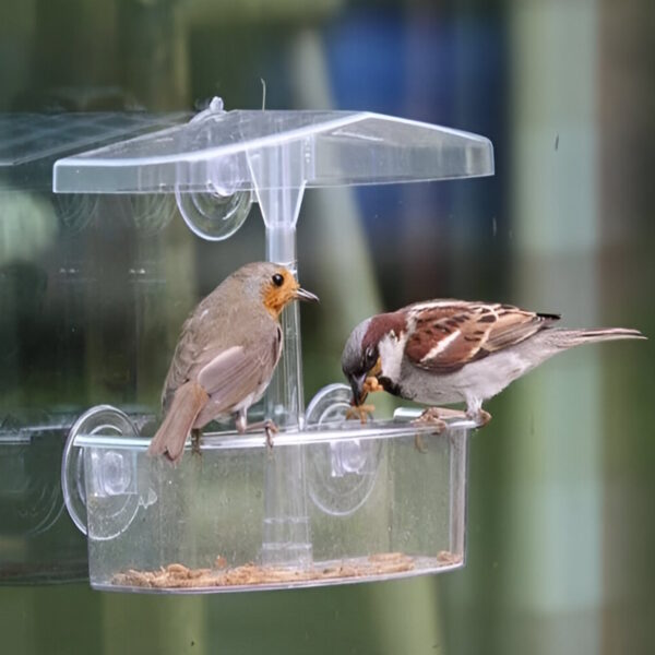 Clear Perspex Window Bird Feeder