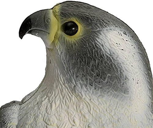 Falcon/Hawk Bird Deterrent